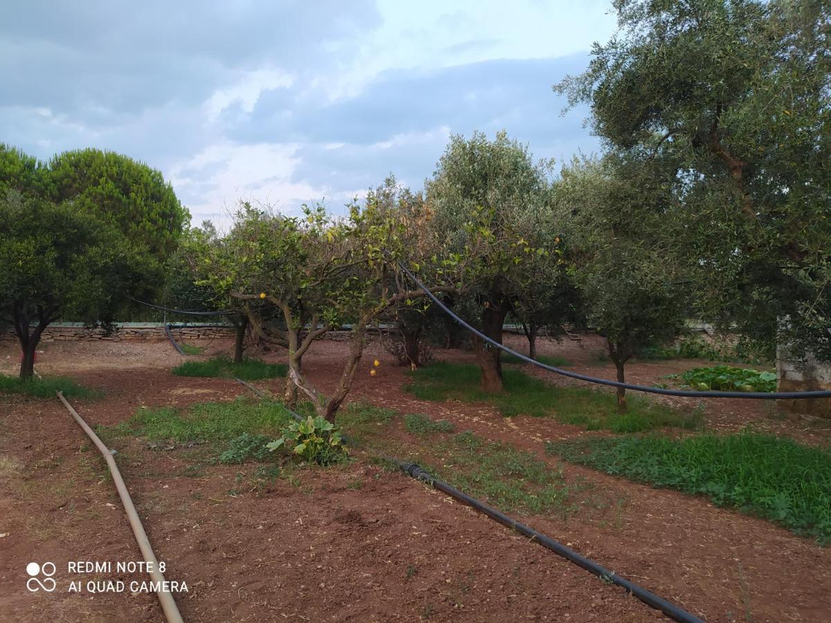 Ozena Countryside Apartment Vromonerion Exterior photo